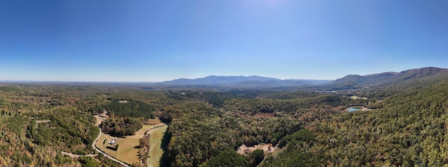 46.6ACRES Regan Jackson Rd, Mill Spring, NC 28756 - photo 17