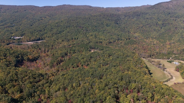 46.6ACRES Regan Jackson Rd, Mill Spring, NC 28756 - photo 18
