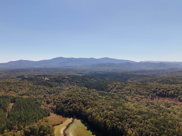 46.6ACRES Regan Jackson Rd, Mill Spring, NC 28756 - photo 19