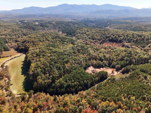 46.6ACRES Regan Jackson Rd, Mill Spring, NC 28756 - photo 20