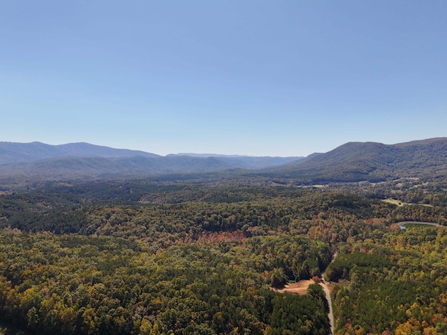 46.6ACRES Regan Jackson Rd, Mill Spring, NC 28756 - photo 21