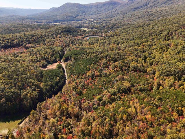 46.6ACRES Regan Jackson Rd, Mill Spring, NC 28756 - photo 22