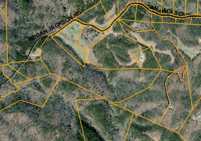 46.6ACRES Regan Jackson Rd, Mill Spring, NC 28756 - photo 23