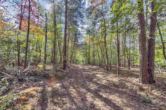 Old Converse Rd, Spartanburg, SC 29301 - photo 14