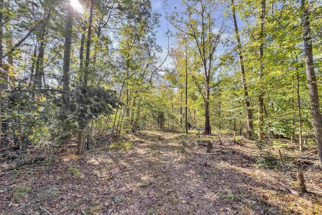 Old Converse Rd, Spartanburg, SC 29301 - photo 15