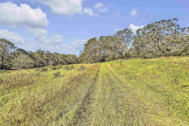 Old Converse Rd, Spartanburg, SC 29301 - photo 19