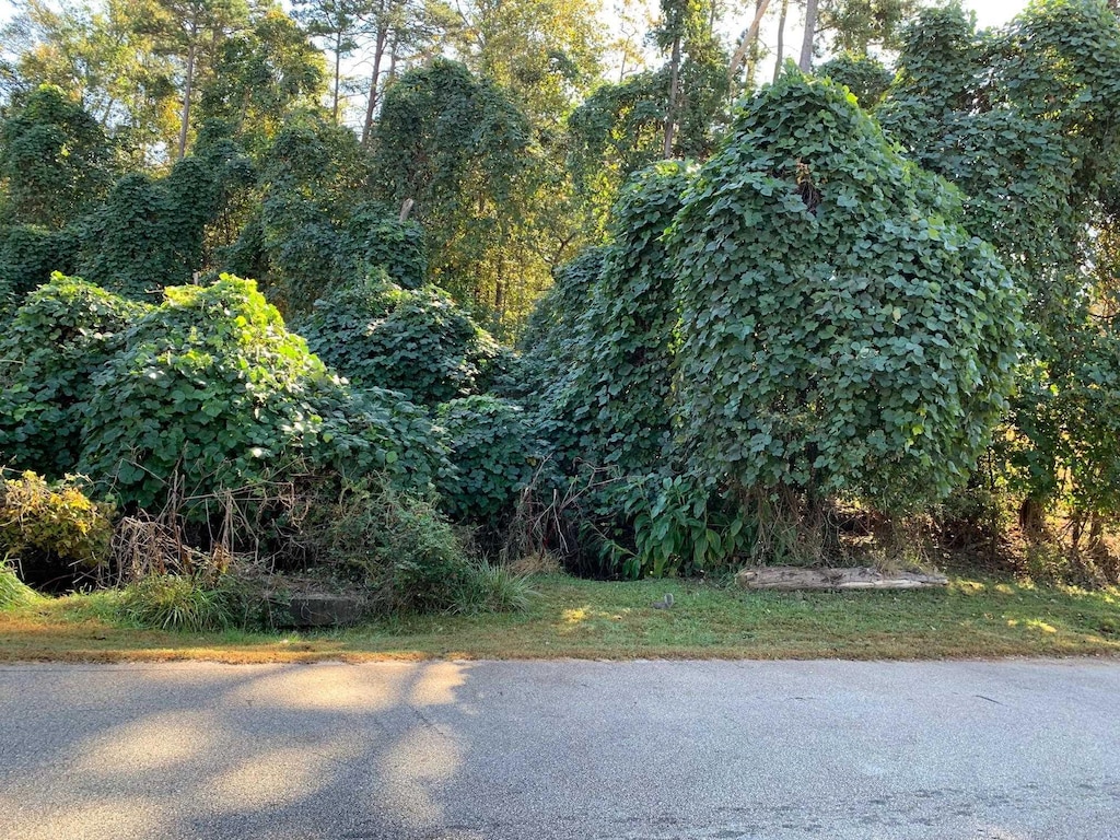 169 Lakeshore Dr, Chesnee, SC 29323 - photo 2