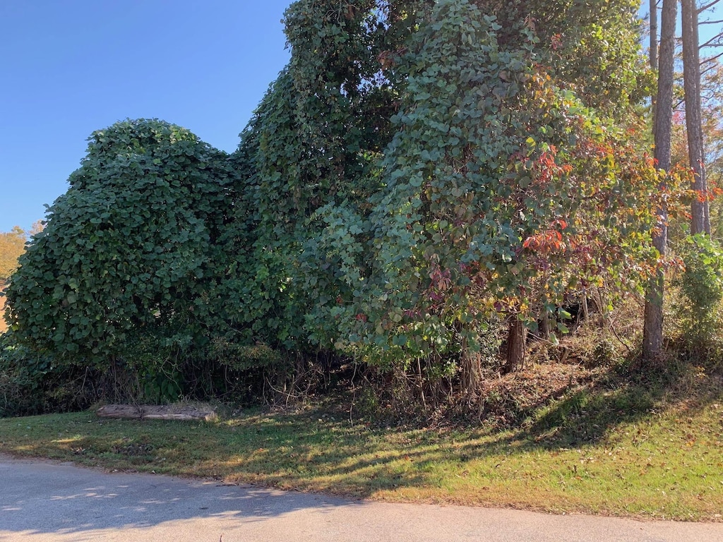 169 Lakeshore Dr, Chesnee, SC 29323 - photo 3