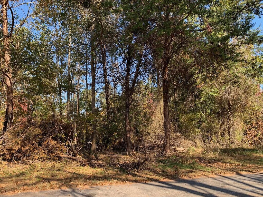 120 Lakeshore Dr, Chesnee, SC 29323 - photo 2