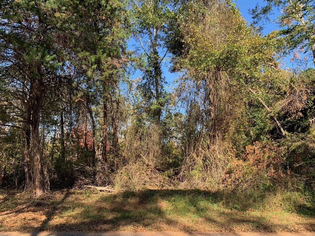 120 Lakeshore Dr, Chesnee, SC 29323 - photo 3