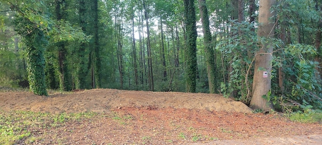 Woodshire Dr, Boiling Springs, SC 29316 - photo 4