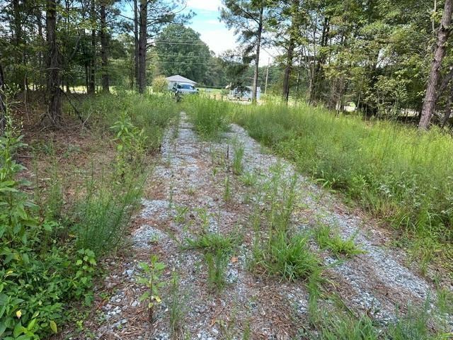 406 S Lakeview Dr, Duncan, SC 29334