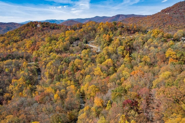 7 Mountain Oak Ln, Travelers Rest, SC 29690 - photo 5