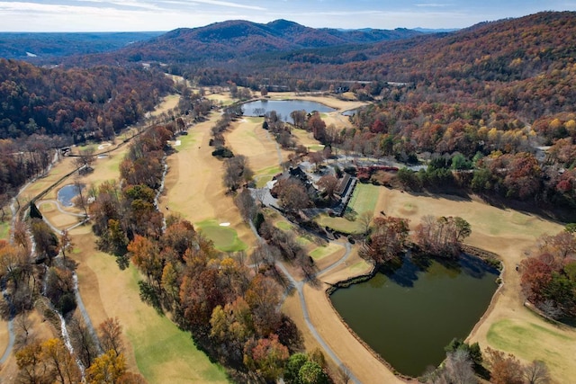 7 Mountain Oak Ln, Travelers Rest, SC 29690 - photo 16
