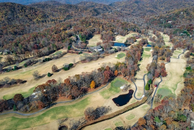 7 Mountain Oak Ln, Travelers Rest, SC 29690 - photo 20