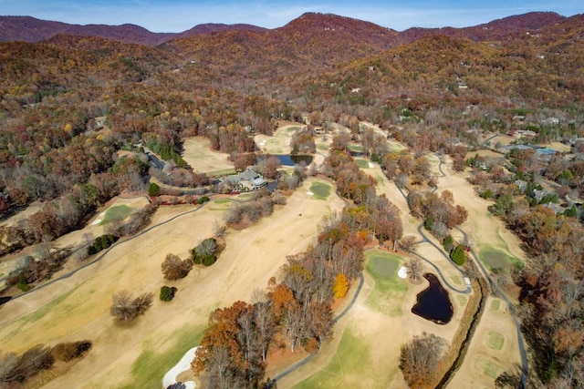 7 Mountain Oak Ln, Travelers Rest, SC 29690 - photo 21