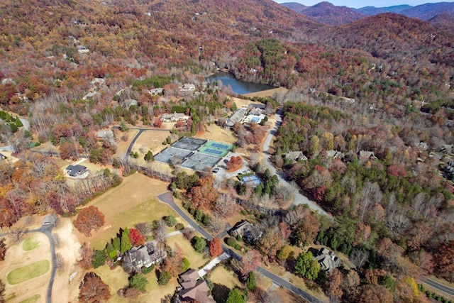 7 Mountain Oak Ln, Travelers Rest, SC 29690 - photo 23