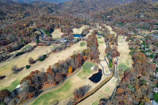 7 Mountain Oak Ln, Travelers Rest, SC 29690 - photo 29