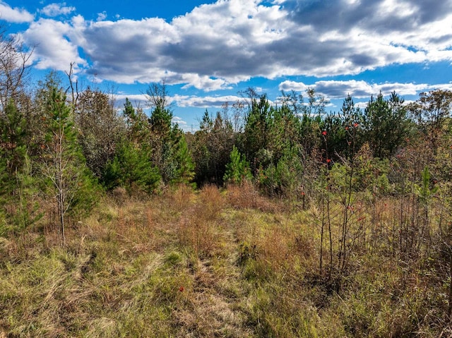 00 Bulman Rd, Spartanburg, SC 29376 - photo 6
