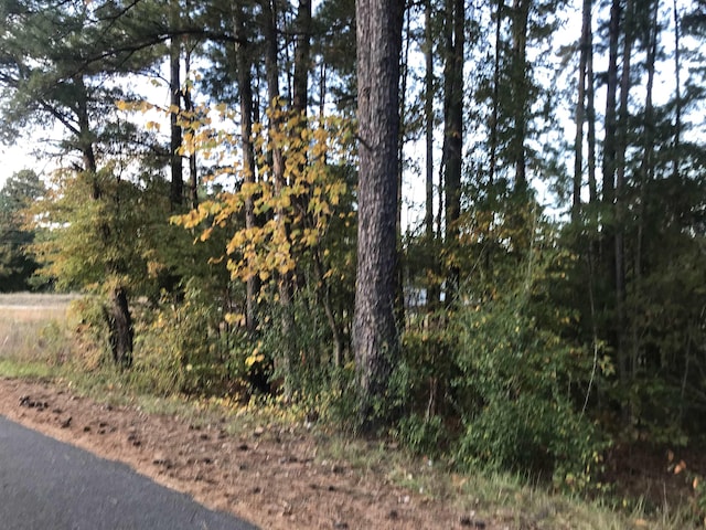 00 Crenshaw Rd, Cowpens, SC 29330 - photo 5