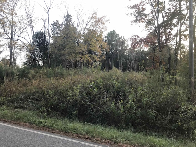 00 Crenshaw Rd, Cowpens, SC 29330 - photo 6