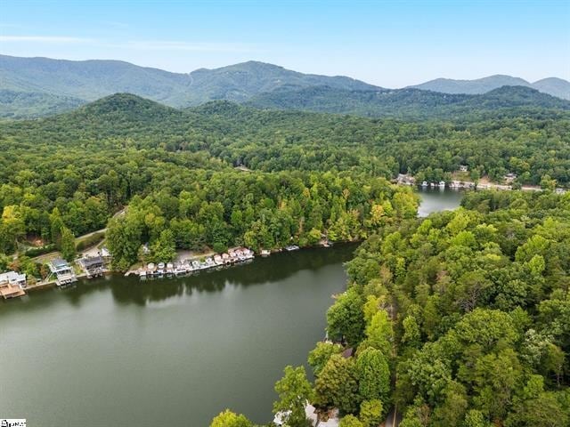 1200 E Lakeshore Dr, Landrum, SC 29356 - photo 34