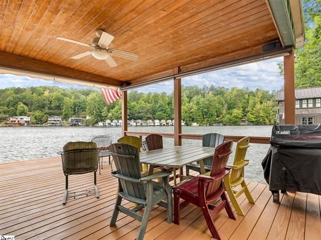1200 E Lakeshore Dr, Landrum, SC 29356 - photo 28