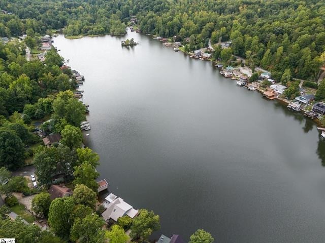 1200 E Lakeshore Dr, Landrum, SC 29356 - photo 32