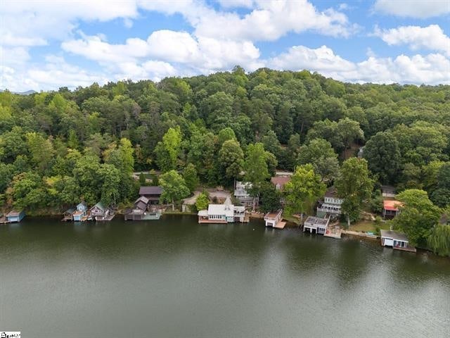 1200 E Lakeshore Dr, Landrum, SC 29356 - photo 33