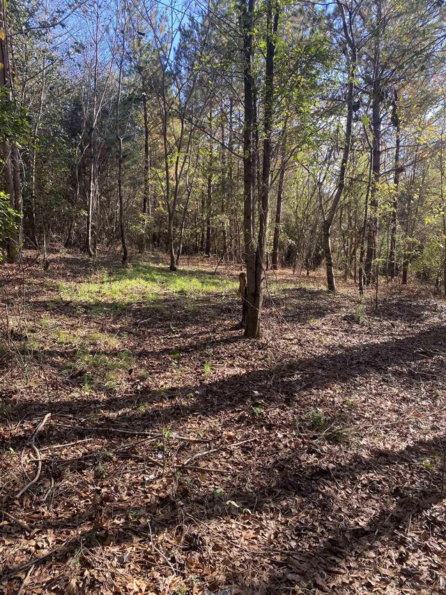 250 Oaktree Rd, Spartanburg, SC 29303 - photo 1