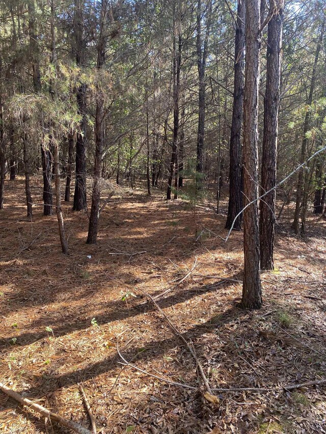 250 Oaktree Rd, Spartanburg, SC 29303 - photo 2
