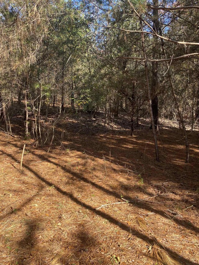 250 Oaktree Rd, Spartanburg, SC 29303 - photo 3