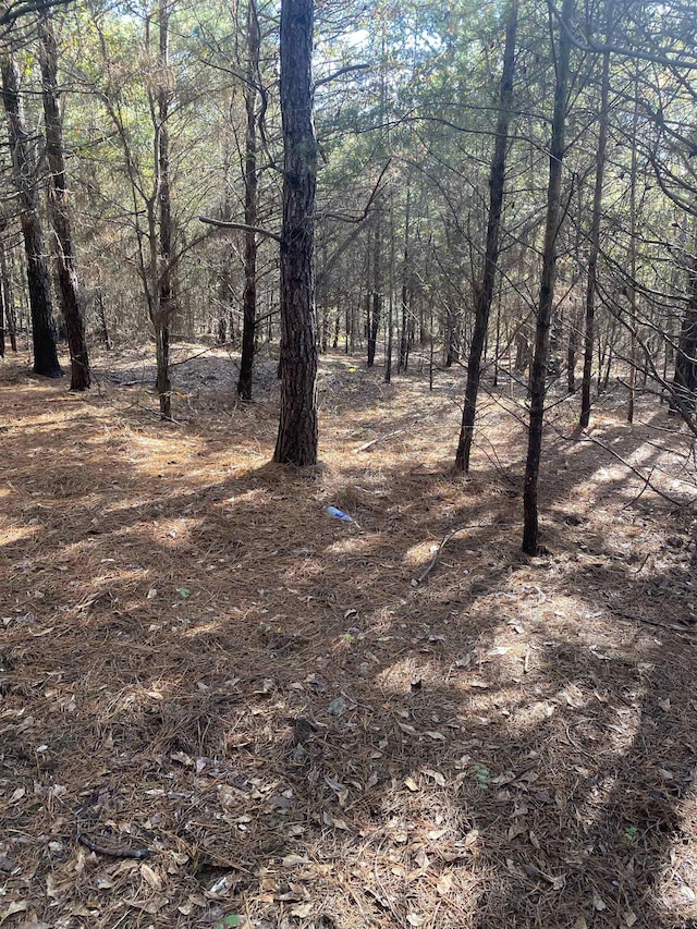 250 Oaktree Rd, Spartanburg, SC 29303 - photo 4