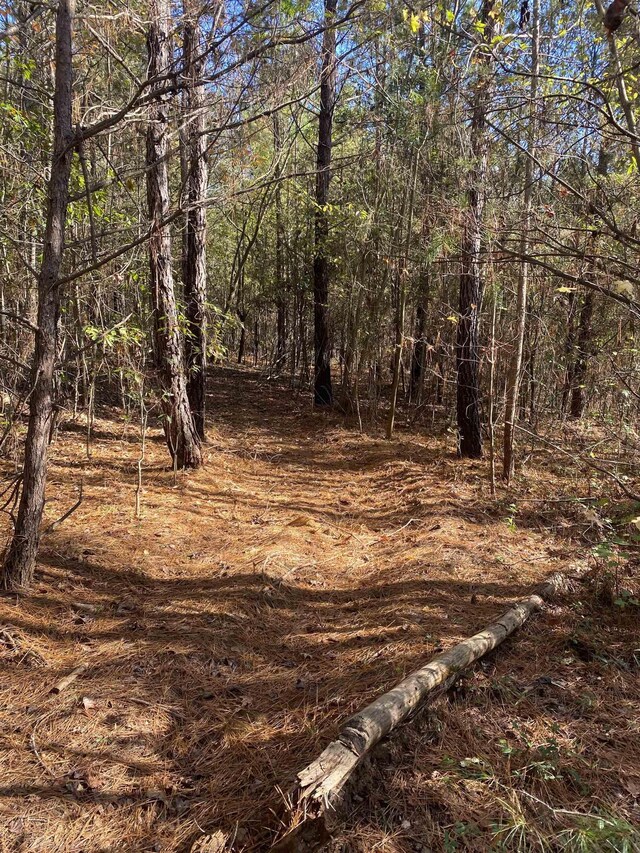 250 Oaktree Rd, Spartanburg, SC 29303 - photo 7