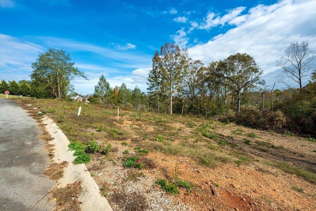 725 Wilson Ferry Rd, Moore, SC 29369 - photo 1