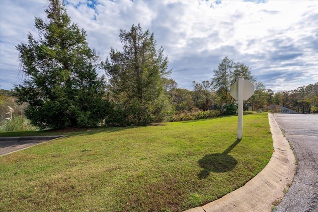 725 Wilson Ferry Rd, Moore, SC 29369 - photo 6