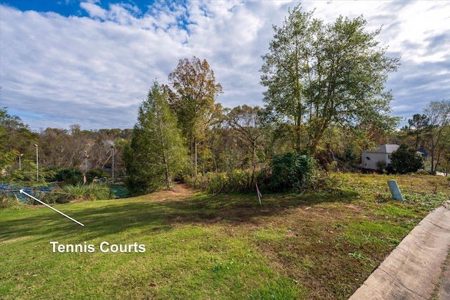 725 Wilson Ferry Rd, Moore, SC 29369 - photo 7