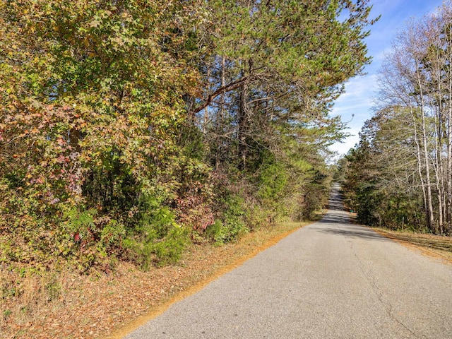 146 Spring Lake Rd, Gaffney, SC 29340 - photo 2