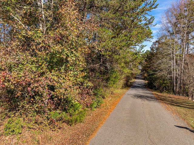 146 Spring Lake Rd, Gaffney, SC 29340 - photo 4