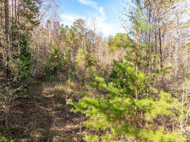 146 Spring Lake Rd, Gaffney, SC 29340 - photo 5
