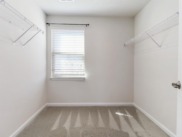 510 Bucklebury Rd, Greer, SC 29651 - walk in closet featuring carpet flooring