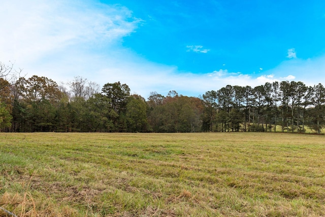 802 Hickory Hollow Rd, Inman, SC 29349 - view of grassy yard featuring a wooded view and a rural view