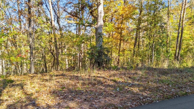 135 Choestoea Rd, Westminster, SC 29693 - photo 3