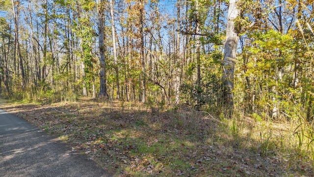 135 Choestoea Rd, Westminster, SC 29693 - photo 4