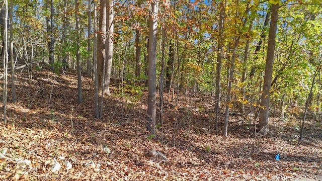 260 Cherokee Dr, Fair Play, SC 29643 - photo 3