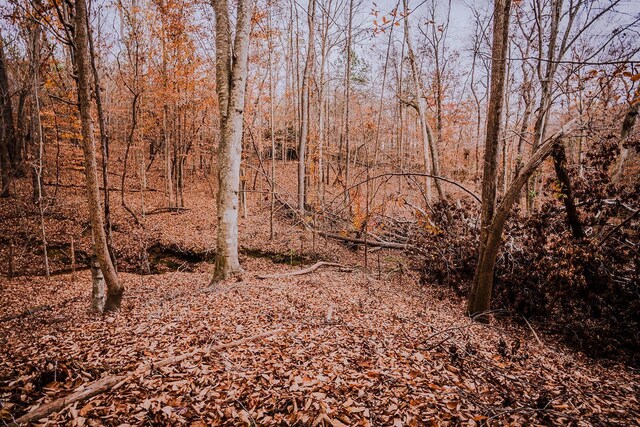0 Perrine Rd, Gaffney, SC 29341 - photo 6