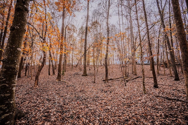 0 Perrine Rd, Gaffney, SC 29341 - photo 7