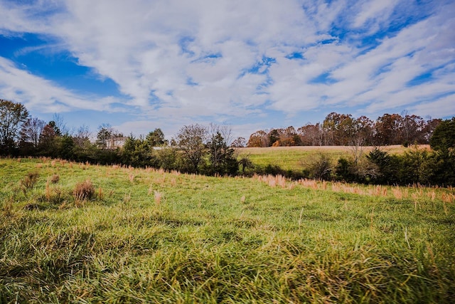 0 Perrine Rd, Gaffney, SC 29341 - photo 11