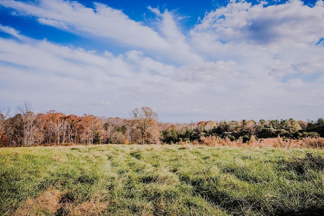 0 Perrine Rd, Gaffney, SC 29341 - photo 13