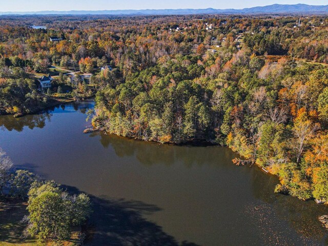 Lake Cunningham Rd, Greer, SC 29651 - photo 2